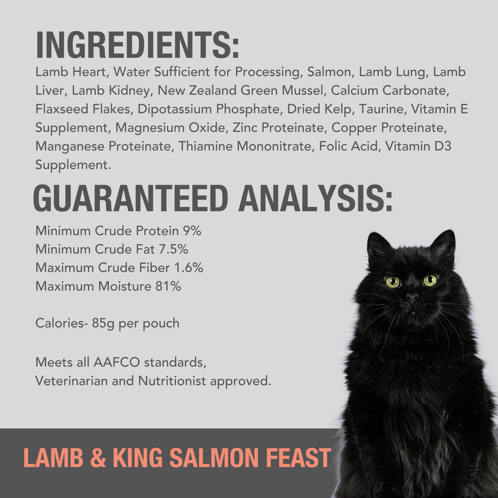 Feline Natural cat enjoying pâté illustrating life stage versatility