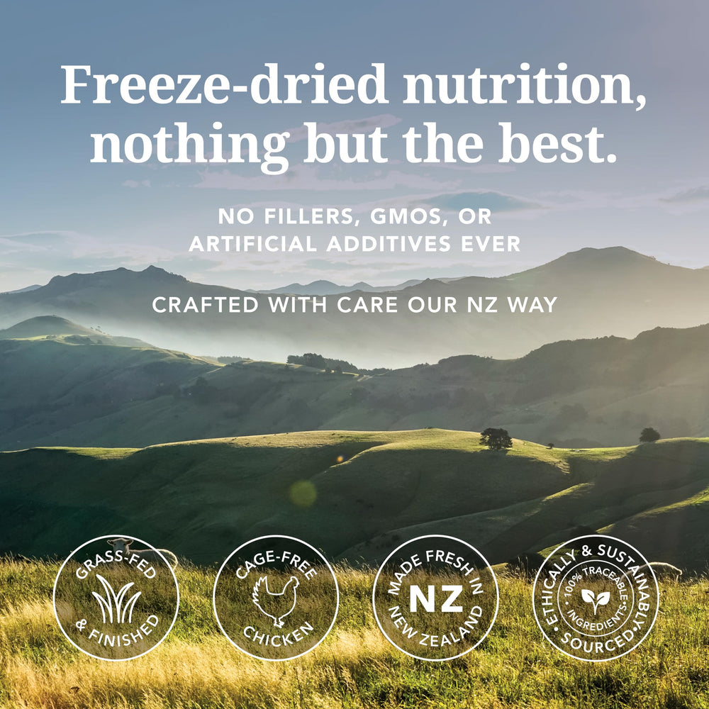 Feline Natural freeze-dried cat food close-up shows meat-rich texture appealing to carnivores.