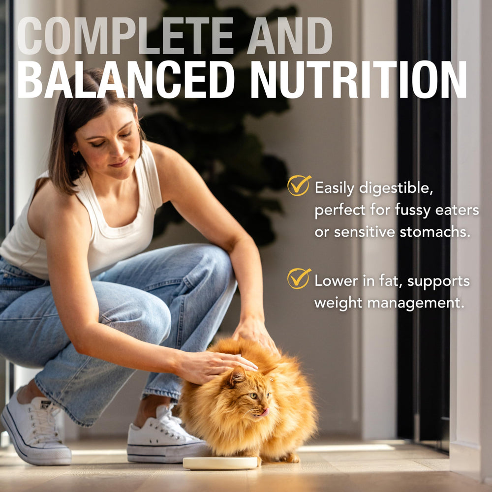 Feline Natural grain-free texture closeup shows soft pâté with no fillers.