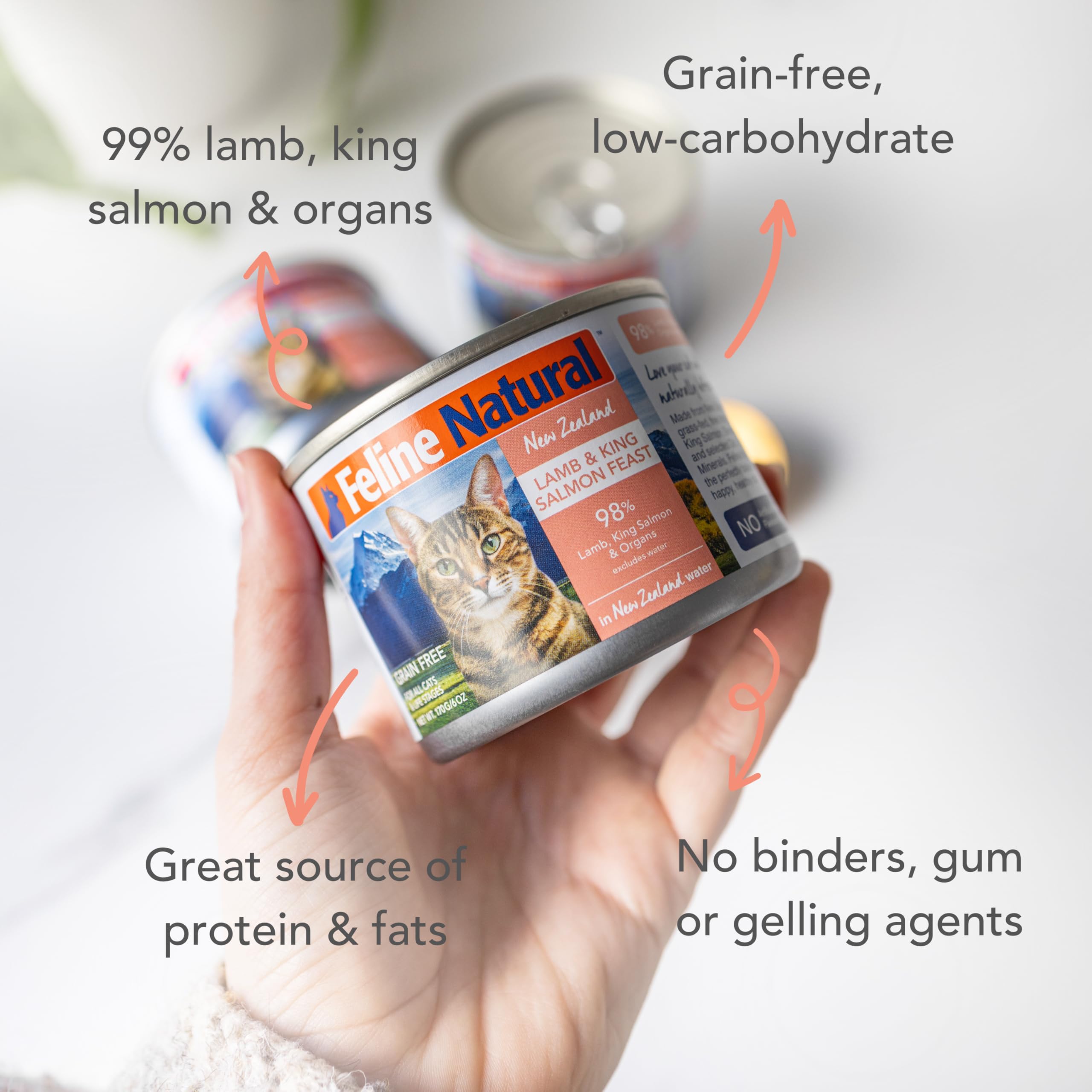 Feline Natural can open showing wet cat food texture for palatable meals.