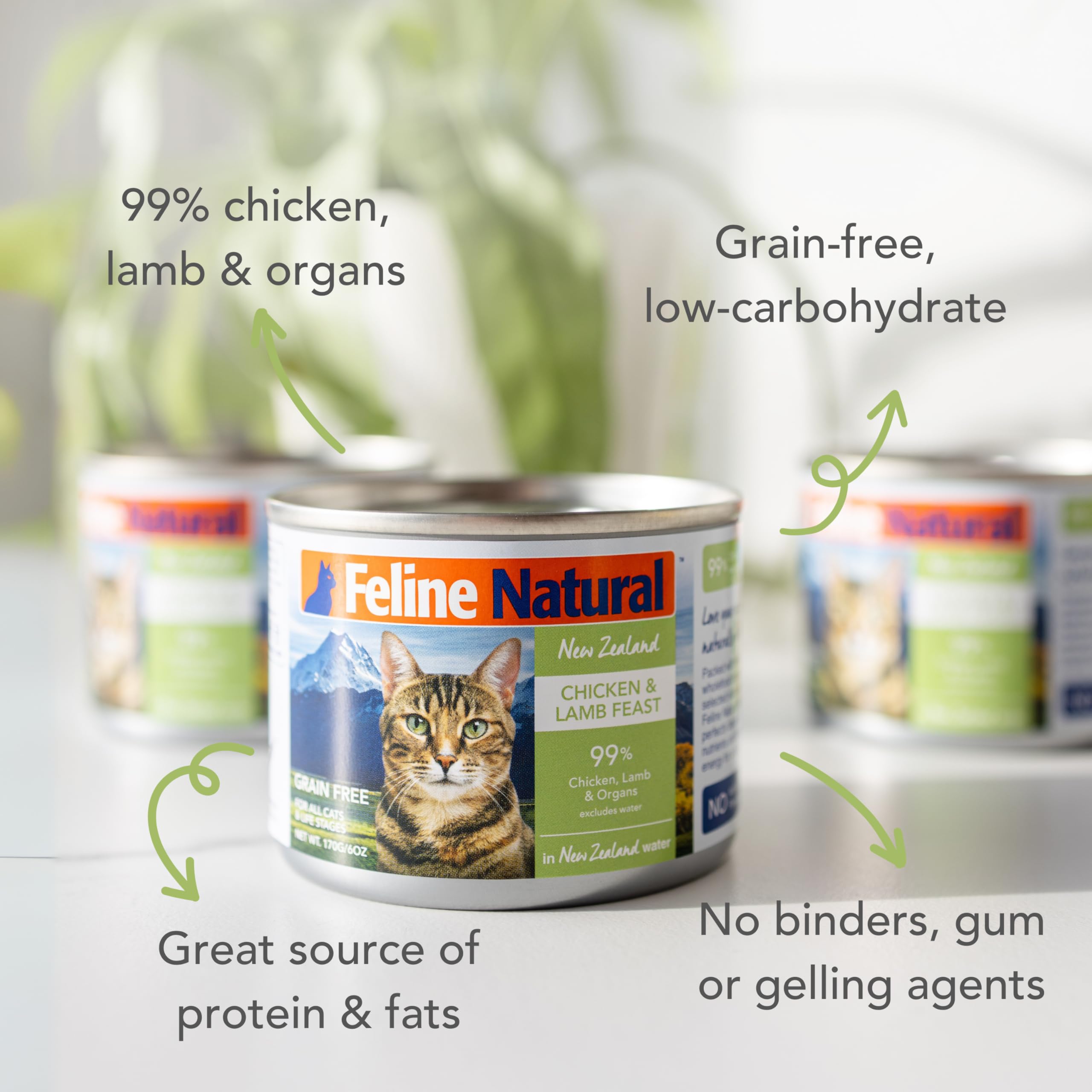 Feline Natural New Zealand wet catfood pate texture – smooth pâté ideal for picky or sensitive cats.