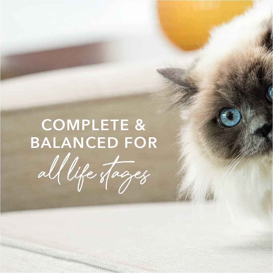 Feline Natural NZ Beef Hoki Feast features real meat and seafood for tasty protein.