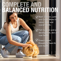 Feline Natural lamb salmon pâté 3oz, premium protein pairing for picky eaters