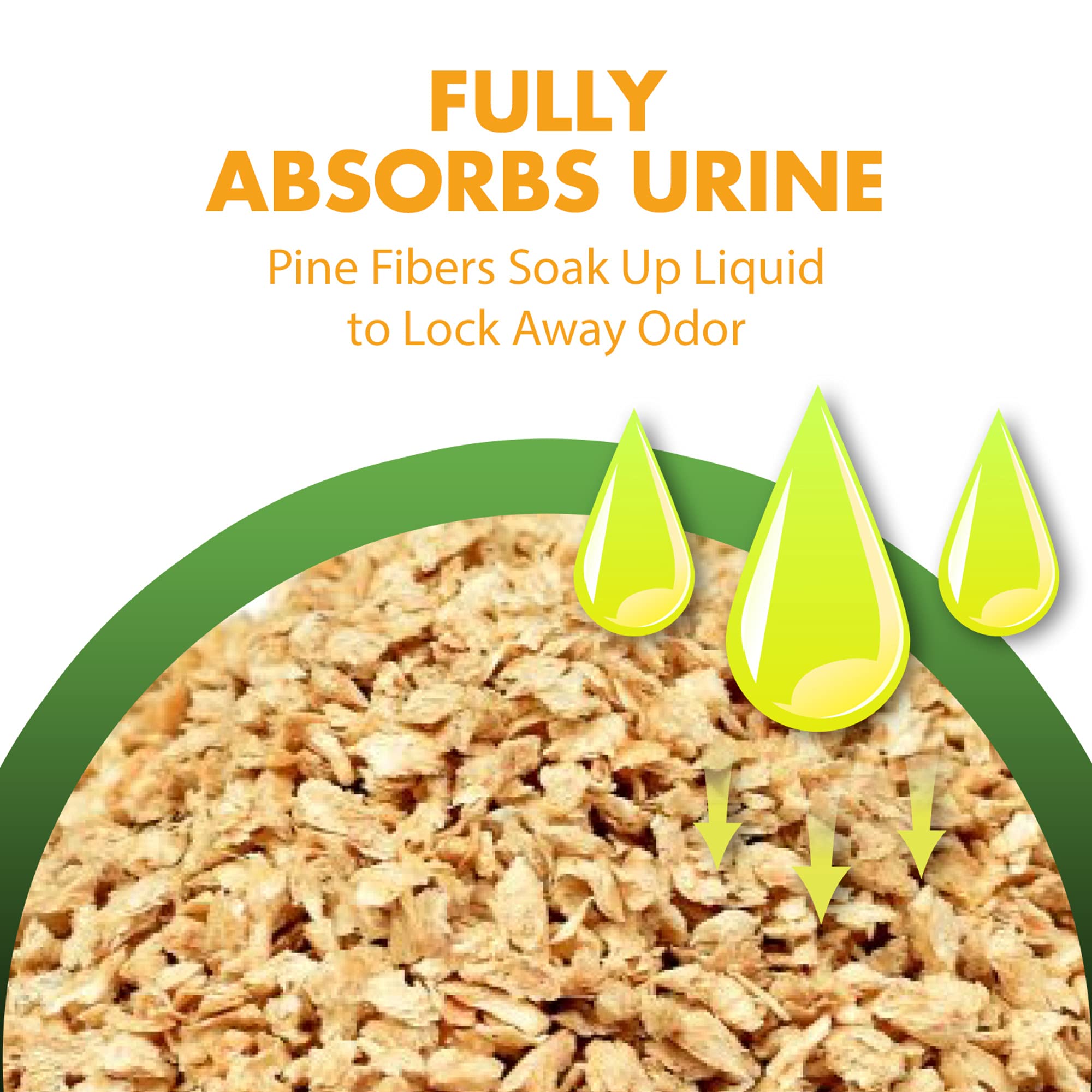 Feline Pine cat in litter box with natural pine litter