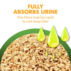 Feline Pine cat in litter box with natural pine litter
