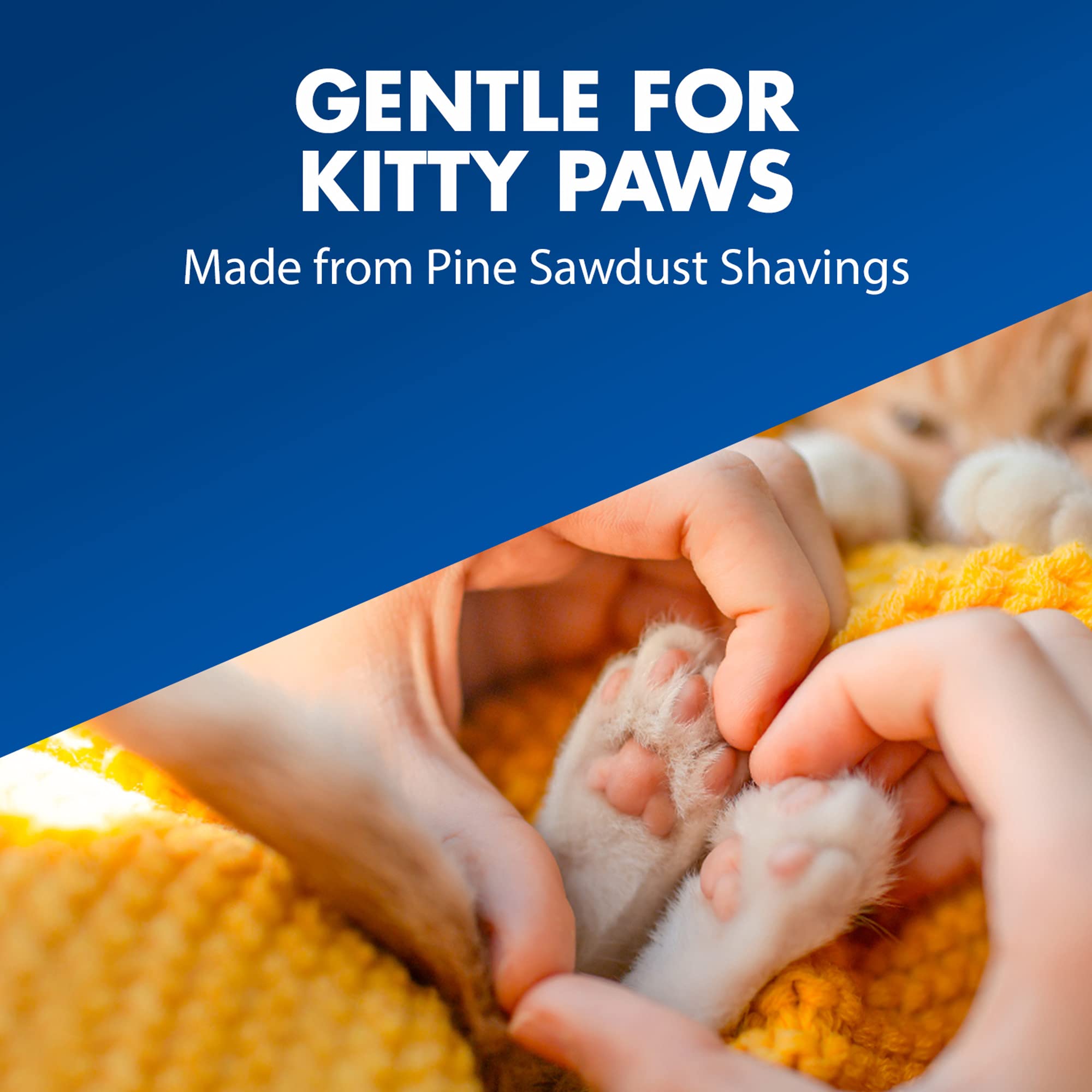 Sawdust shavings gentle on kitty paws