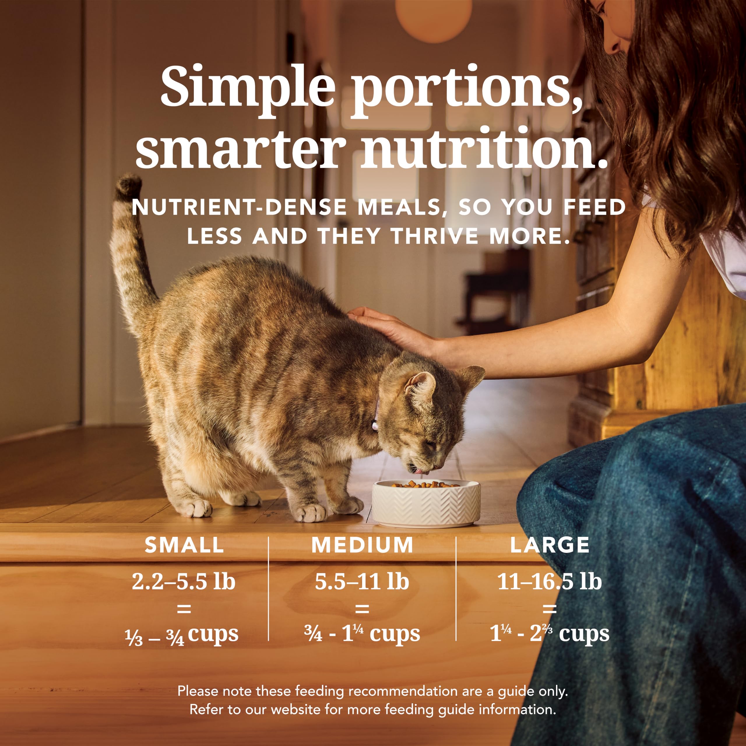 Feline Natural grain-free freeze-dried cat food bag indicating freshness