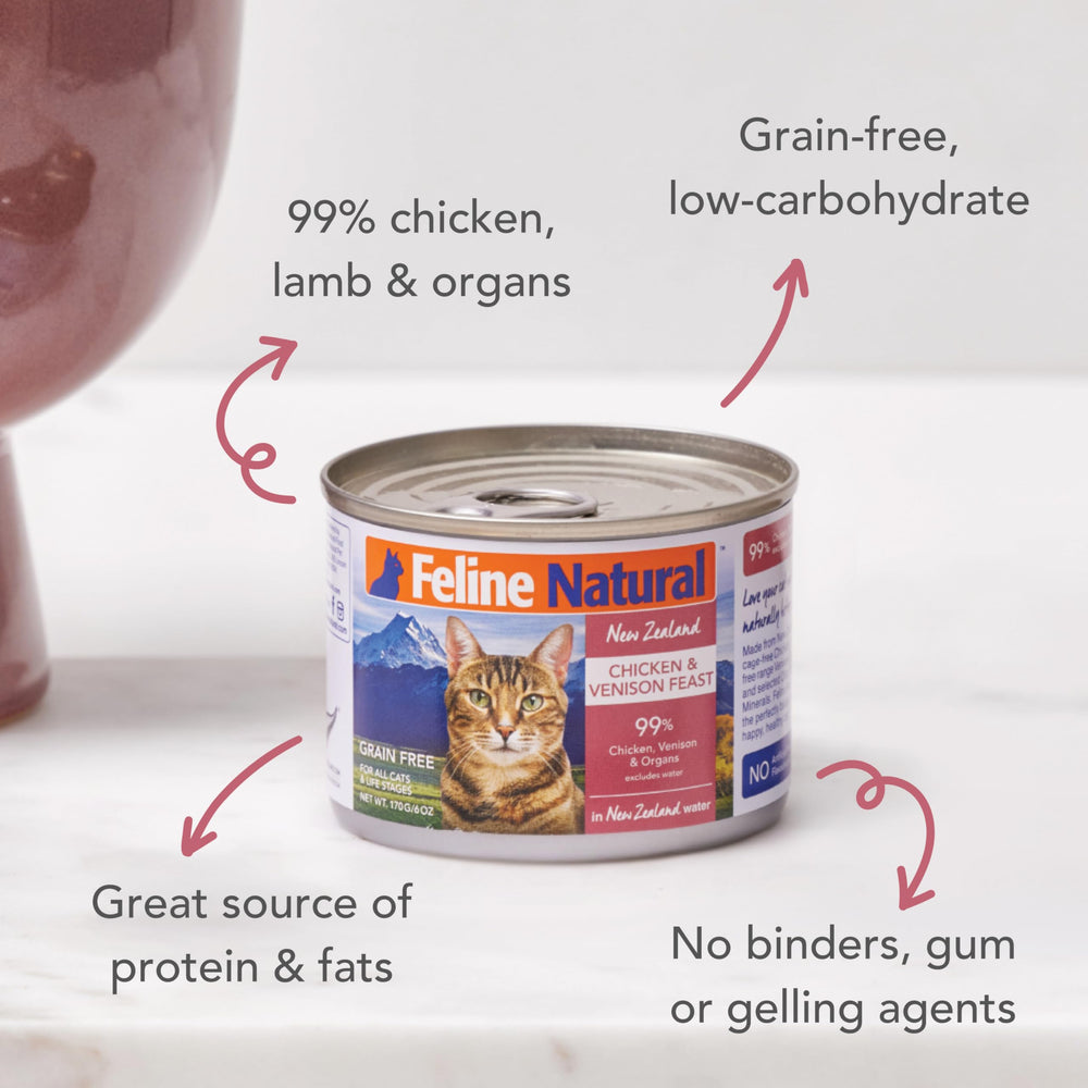 Feline Natural New Zealand wet food serving bowl with chicken and venison feast