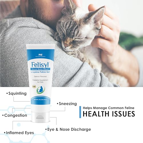 Cat at dish ready for Felisyl L-Lysine Gel dosing, simple daily routine.