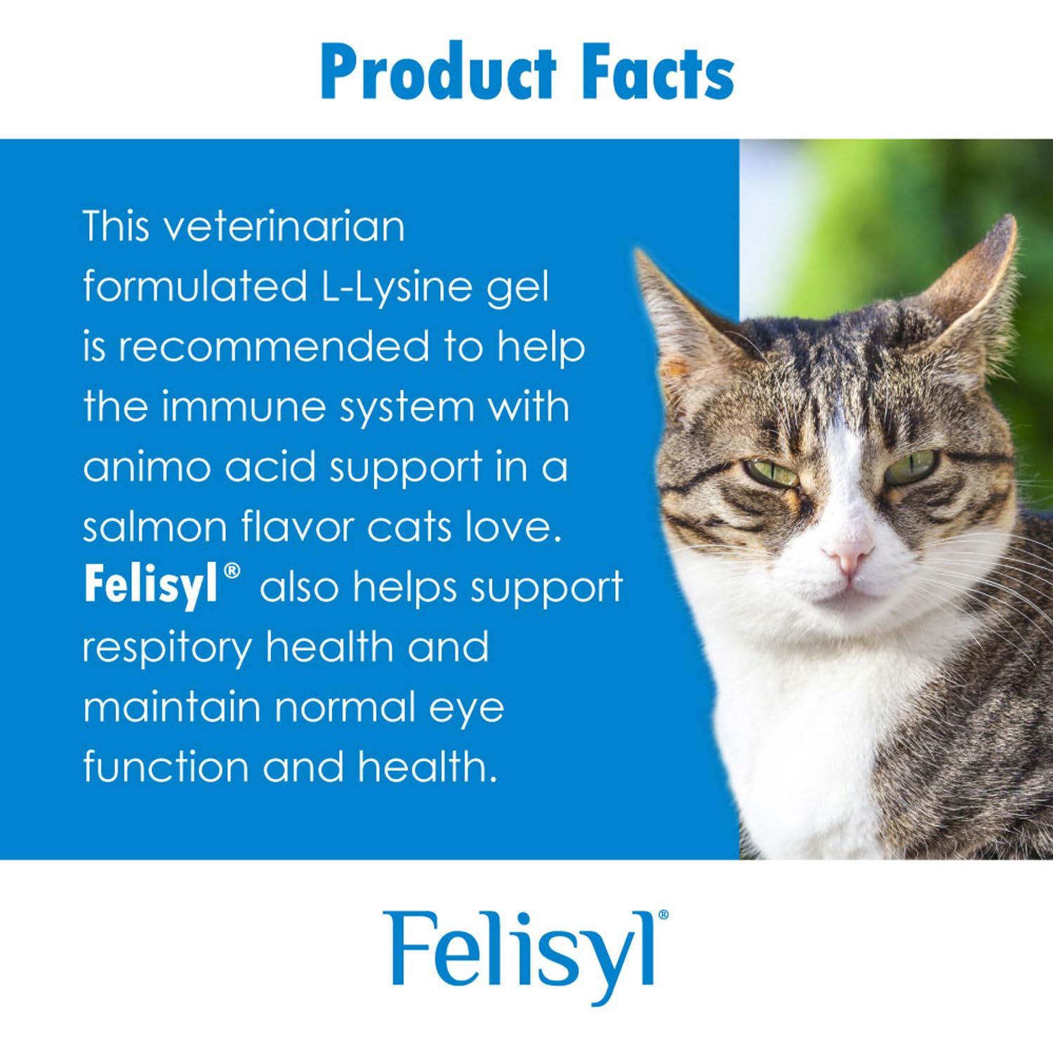Felisyl L-Lysine Gel bottle with dropper-friendly opening for mess-free dosing.