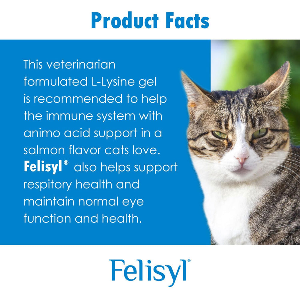 Felisyl L-Lysine Gel bottle with dropper-friendly opening for mess-free dosing.