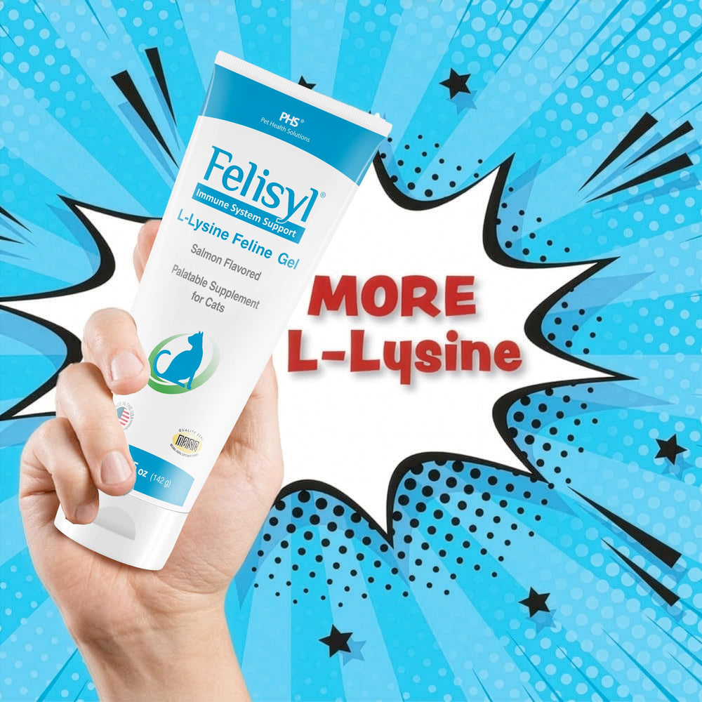 Kitten-friendly Felisyl L-Lysine Gel emphasizes gentle daily dosing.