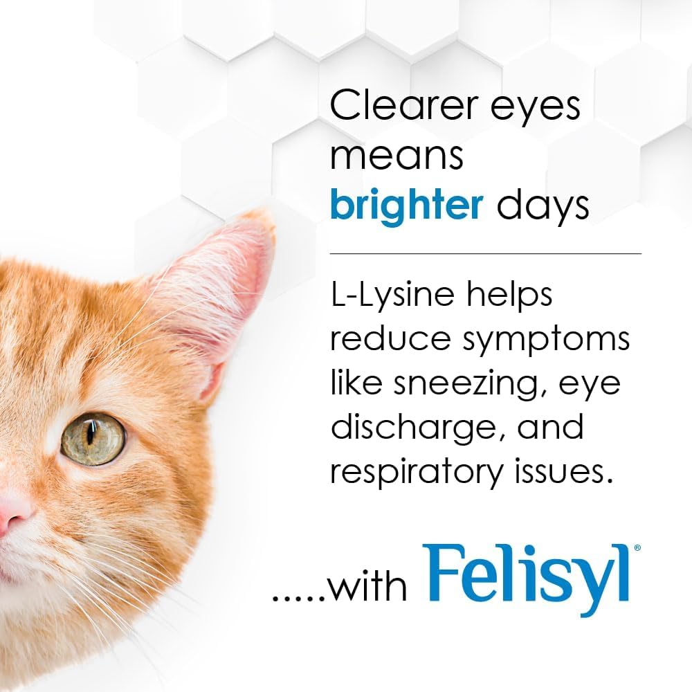 Close-up of salmon flavor on Felisyl L-Lysine Gel showing tasty appeal.