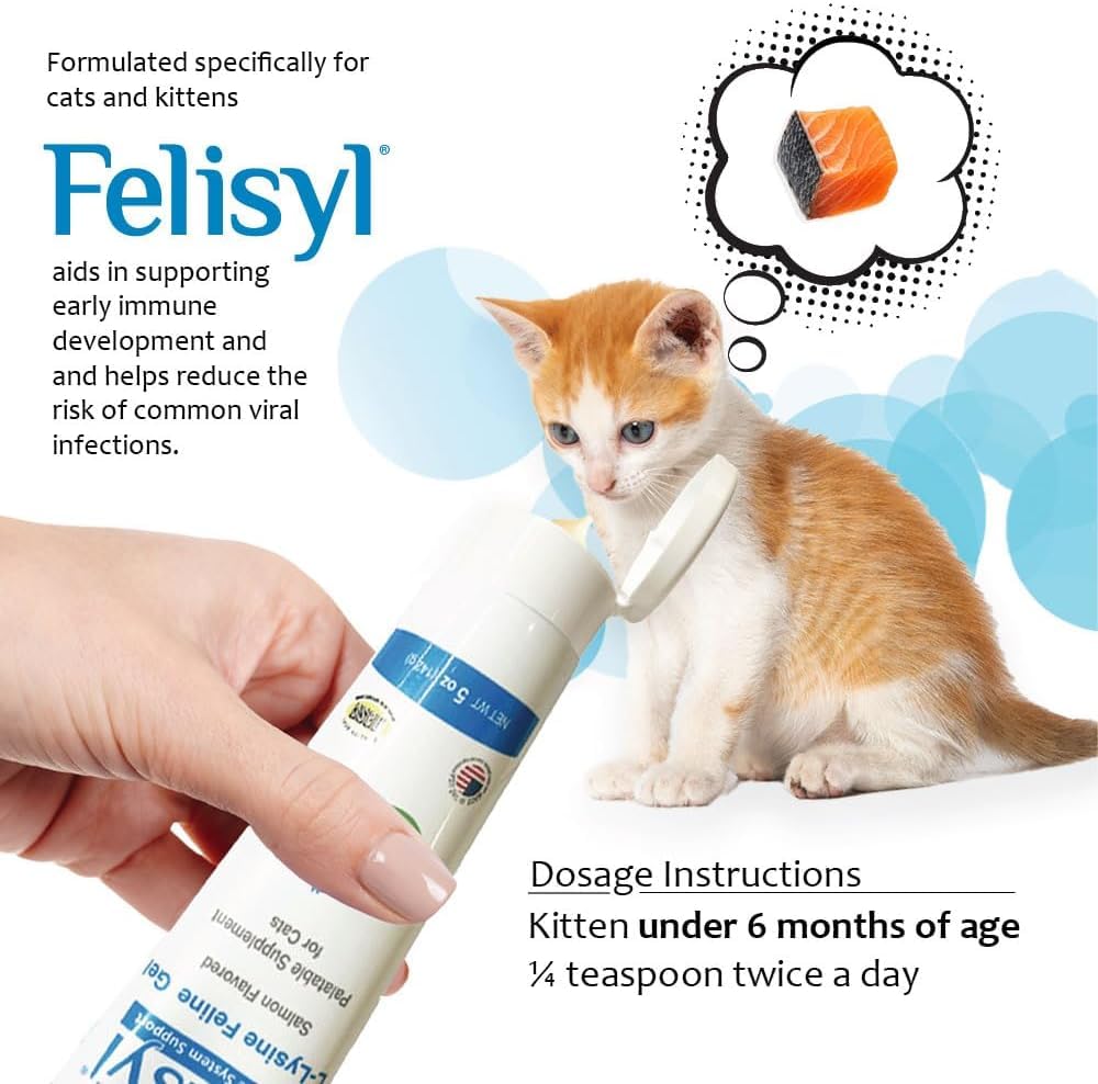 Vet-formulated Felisyl L-Lysine Gel indicates professional quality and care.