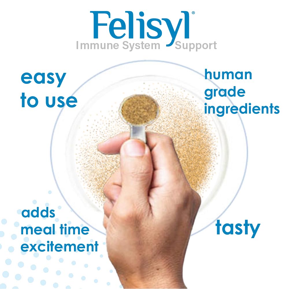 Close-up of a calm cat after Felisyl Lysine addition to meal.