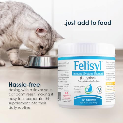 310 servings indicator highlights value of Felisyl L-Lysine for long-term use.