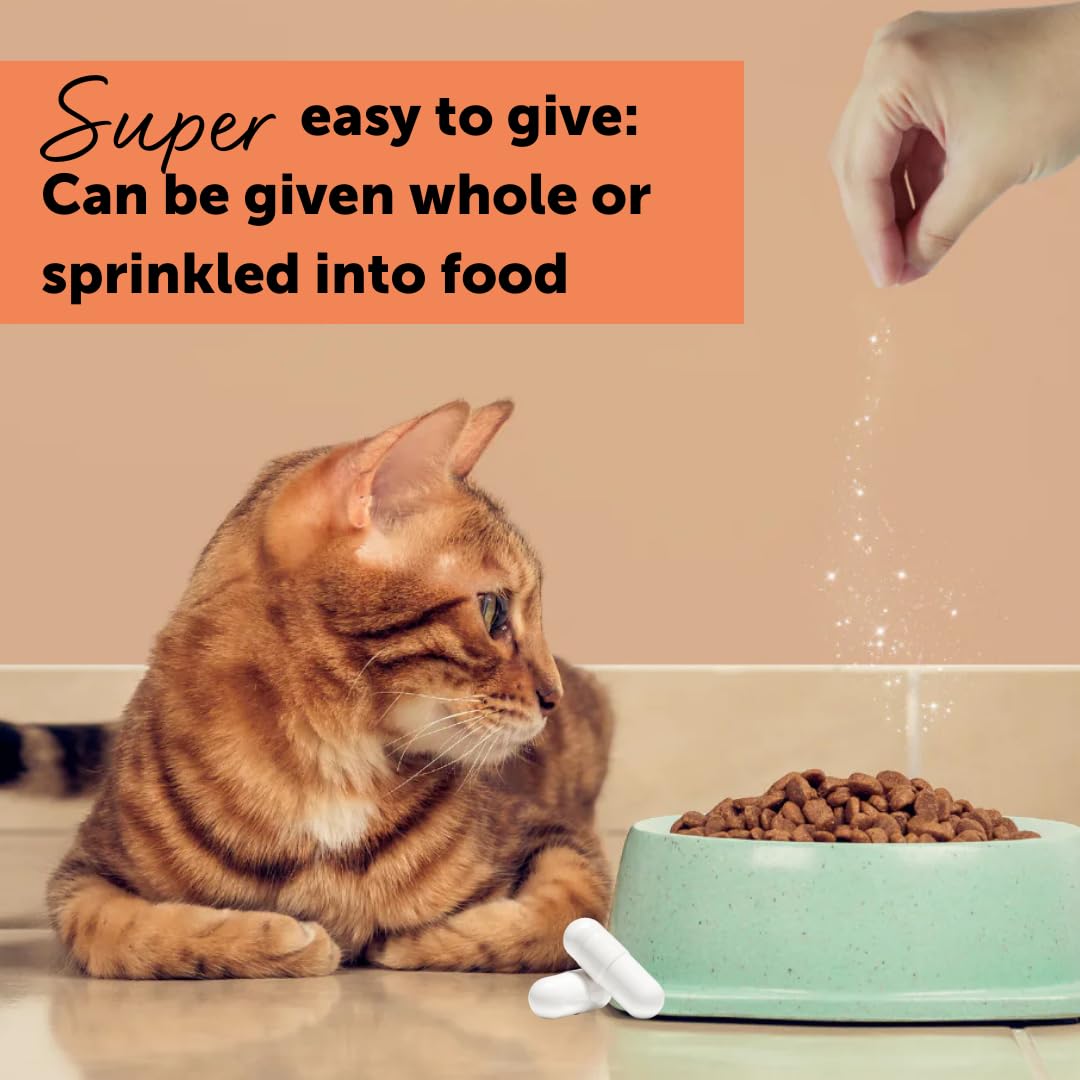 Feliway Cystease hyaluronic acid visual emphasizes bladder wall comfort support