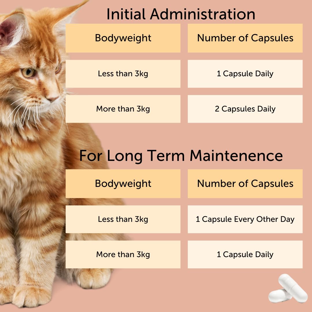 Feliway Cystease L-tryptophan illustrates calming effect for stressed cats