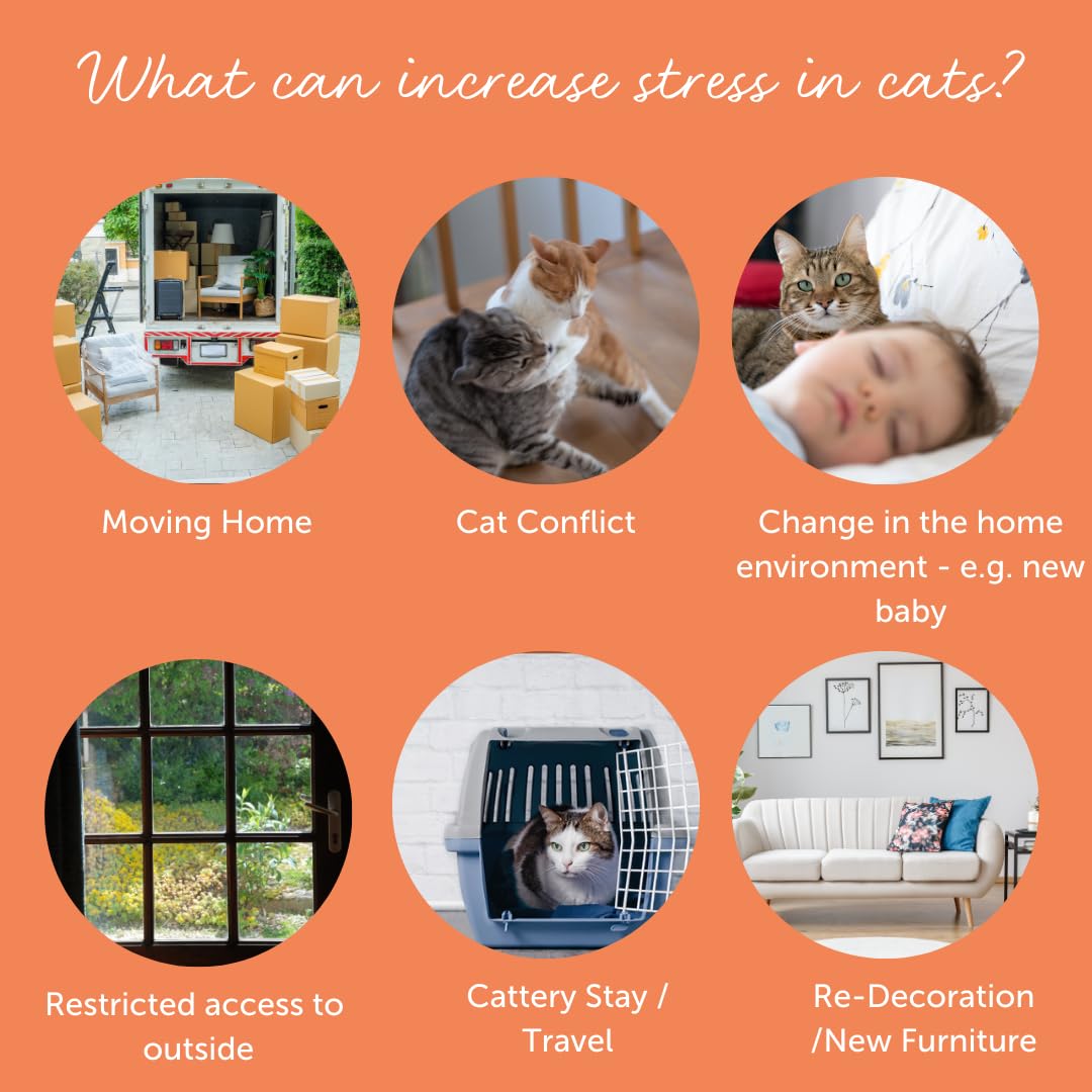 Feliway Cystease sprinkle-in-food use shown for easy administration