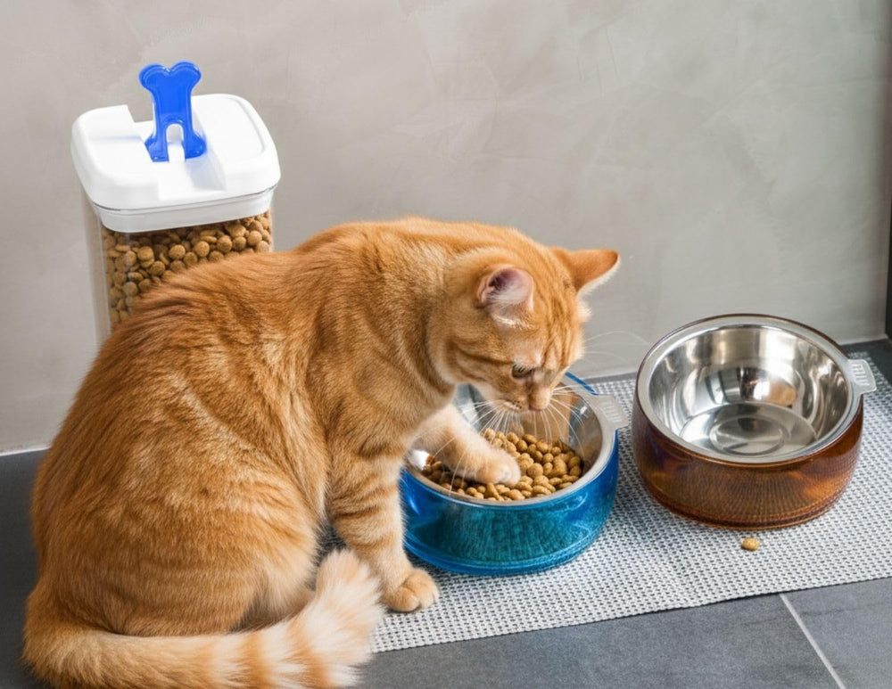 Felli Oblik non-slip acrylic base keeps bowl steady during feeding.