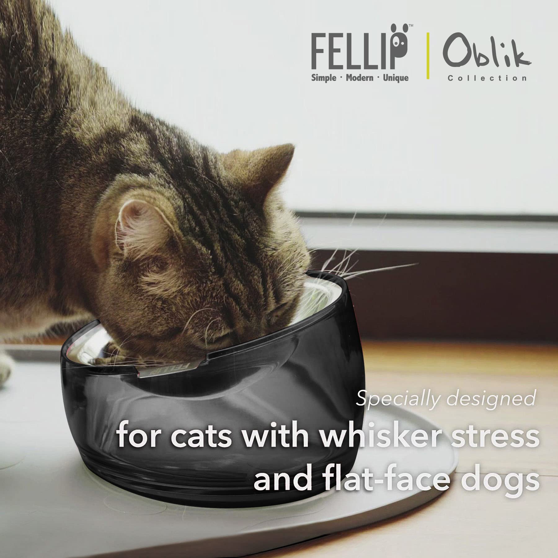 Felli Oblik removable shallow dish keeps food centered for whisker-friendly meals.