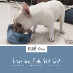 Felli Oblik removable stainless steel dish for easy cleaning