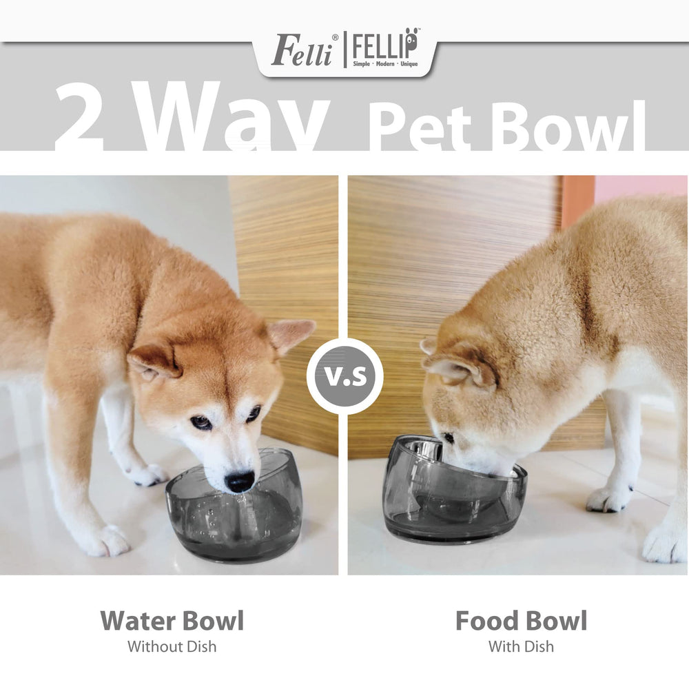Felli Oblik suited for small to medium dogs like Beagles and Corgis