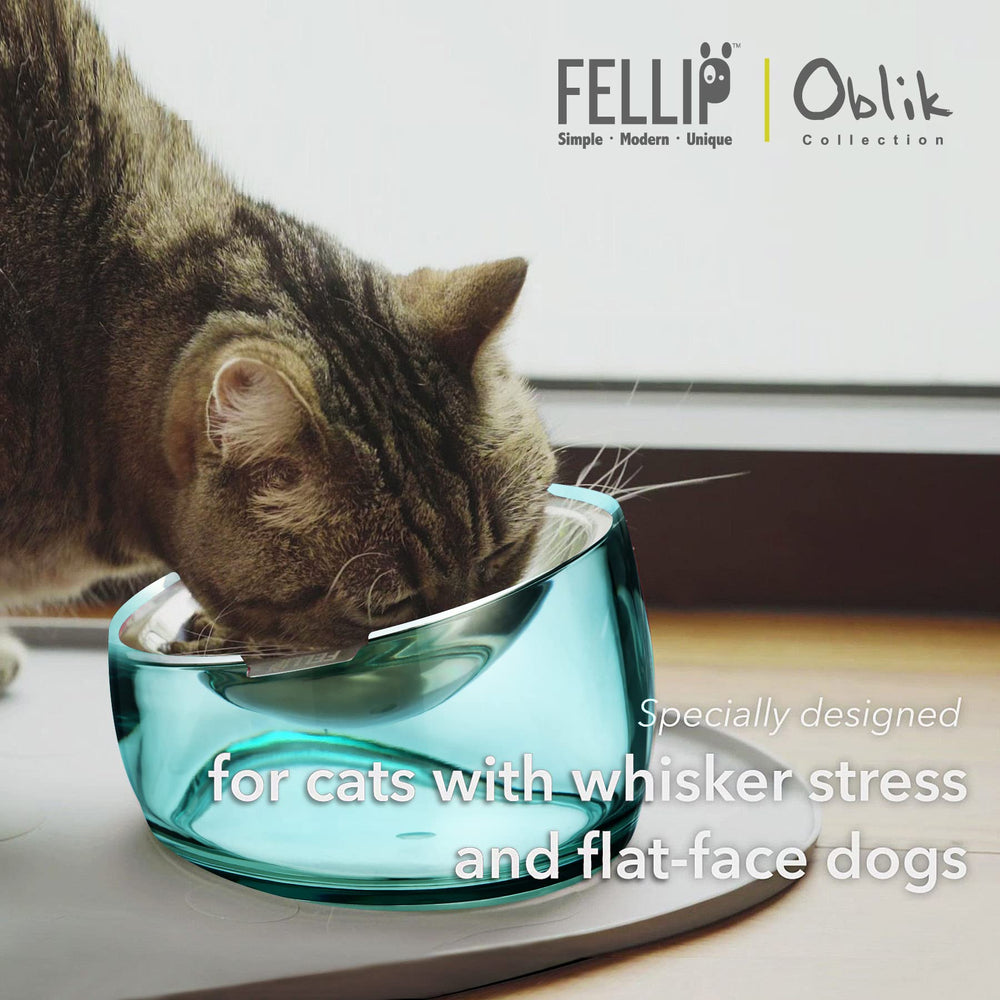 Felli Oblik wide-dish helps reduce whisker fatigue during meals.