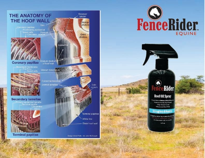 FenceRiderEquine Hoof Oil Spray applied to hoof area highlighting crack support potential.