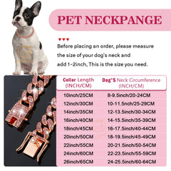 Fengco RoseGold dog collar on a dog showcases hiphop style and shine.