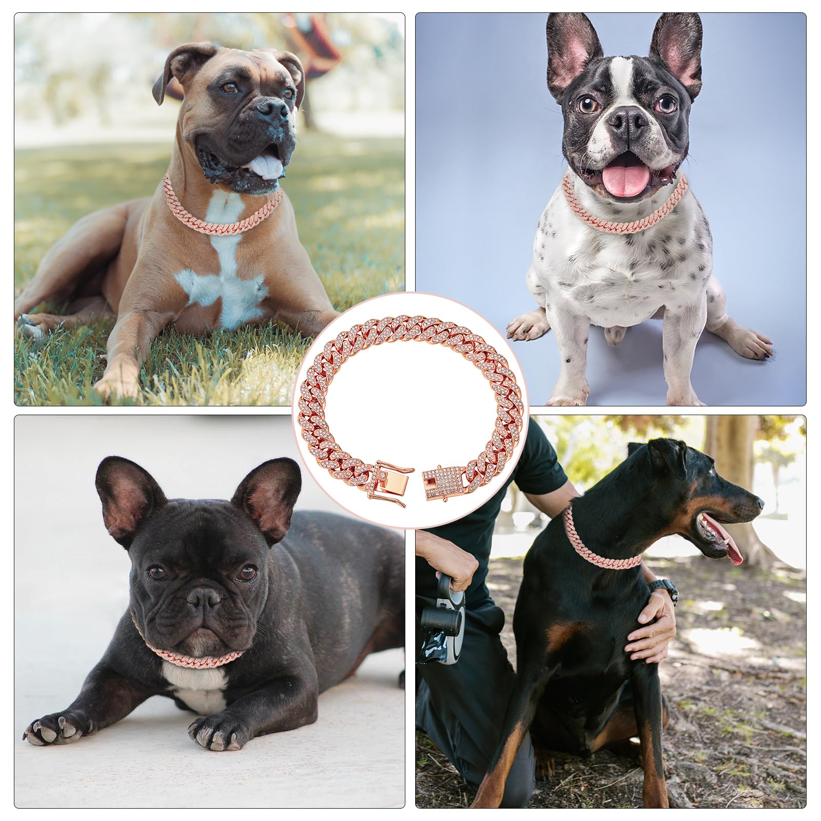 Fengco Rosegold dog collar gift-ready packaging for pet lovers.