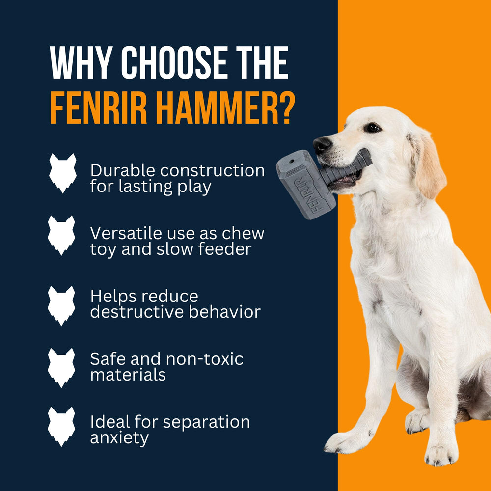 Fenrir Hammer dog chew toy blue large stuffed with treats for extended enrichment