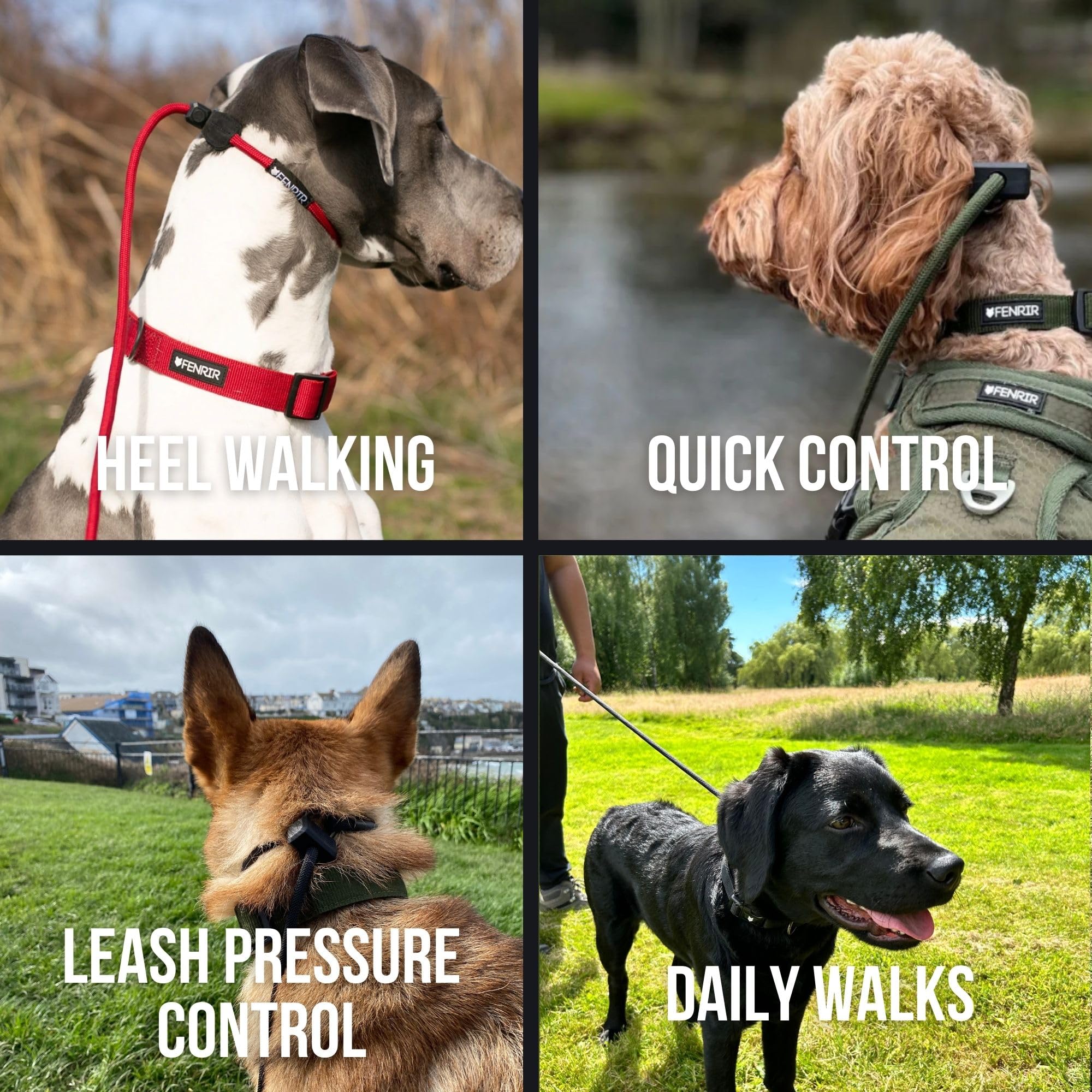 Fenrir Ragnar Slip Leash adjustable-length closeup highlights versatile fit for any dog.
