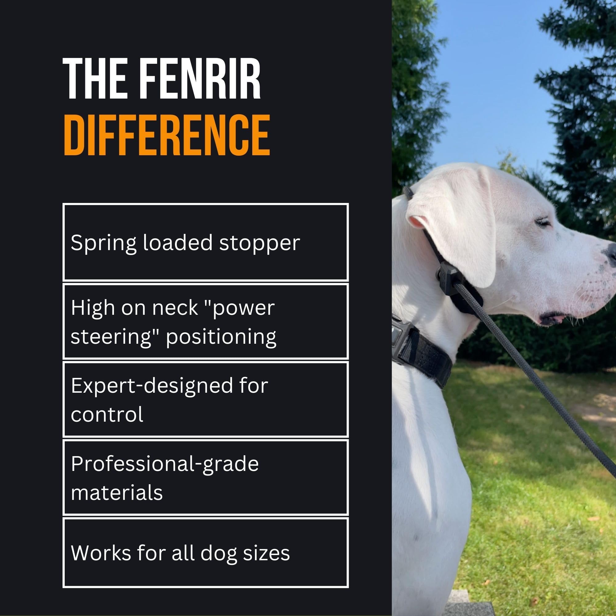 Fenrir Ragnar Slip Leash durable-weave texture closeup emphasizes long-lasting training tool.