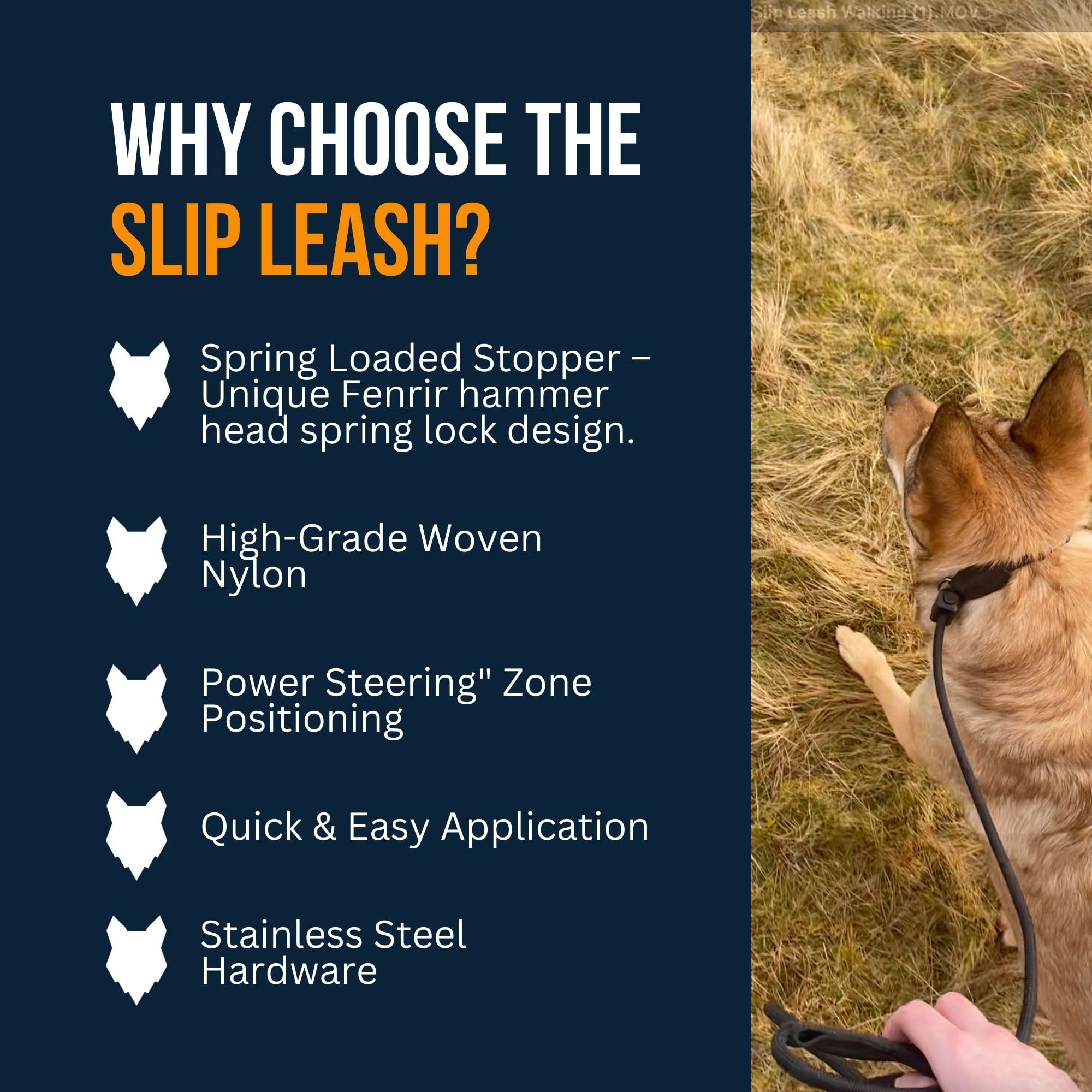 Fenrir Ragnar Slip Leash spring-lock hammer closeup demonstrates secure locking during training.