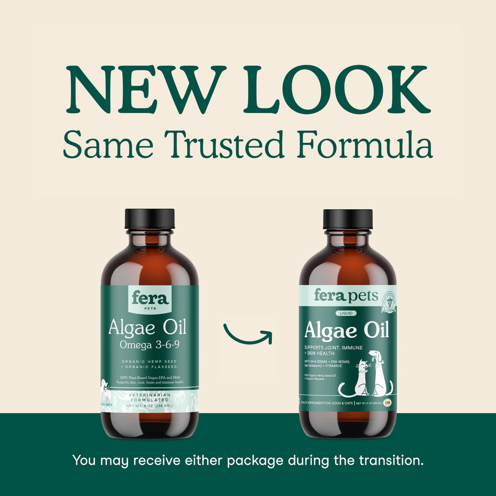 Fera Pets Algae Oil label-closeup highlighting EPA and DHA for heart and brain support.