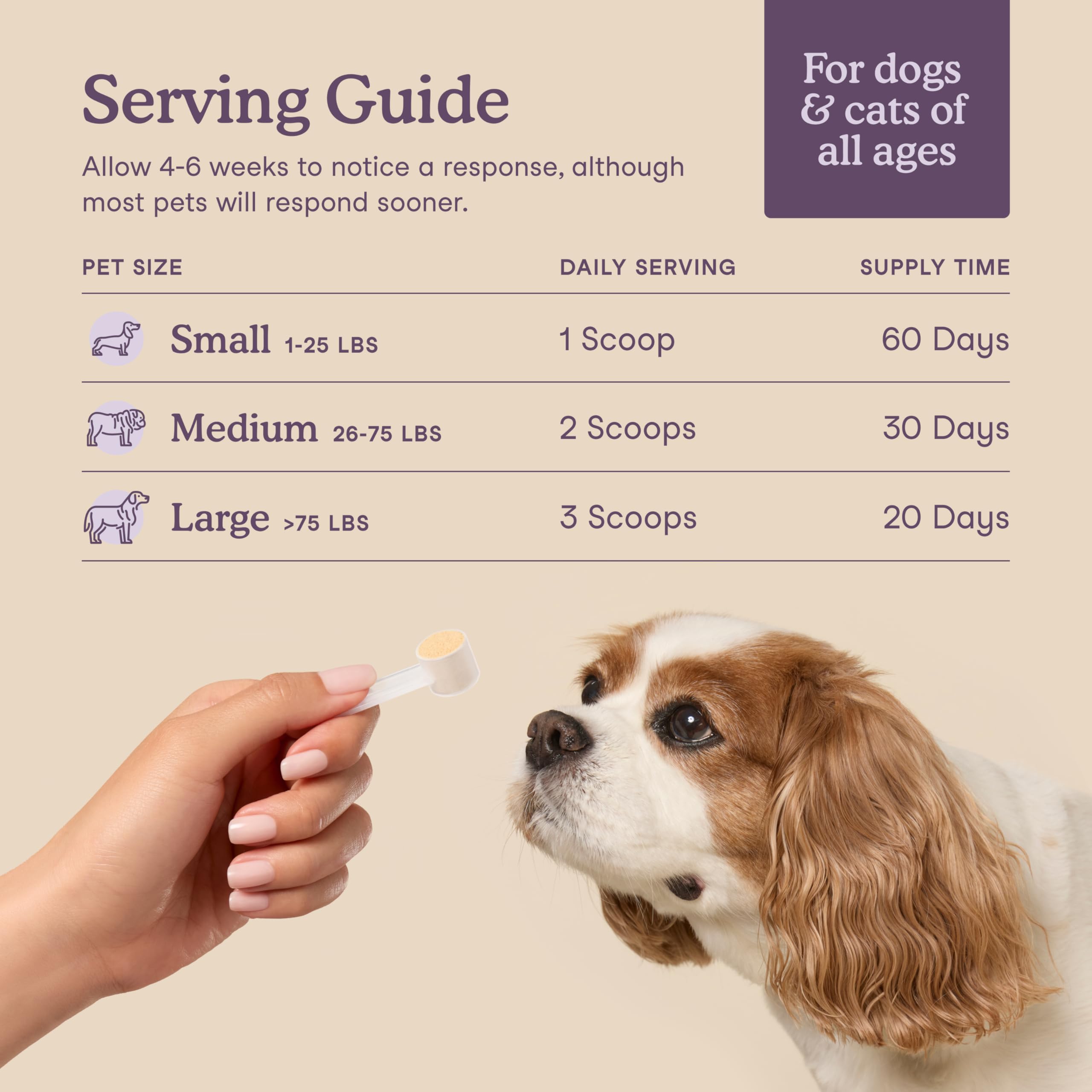 Fera Pets calming supplement cat nose closeup indicates gentle, natural ingredients.