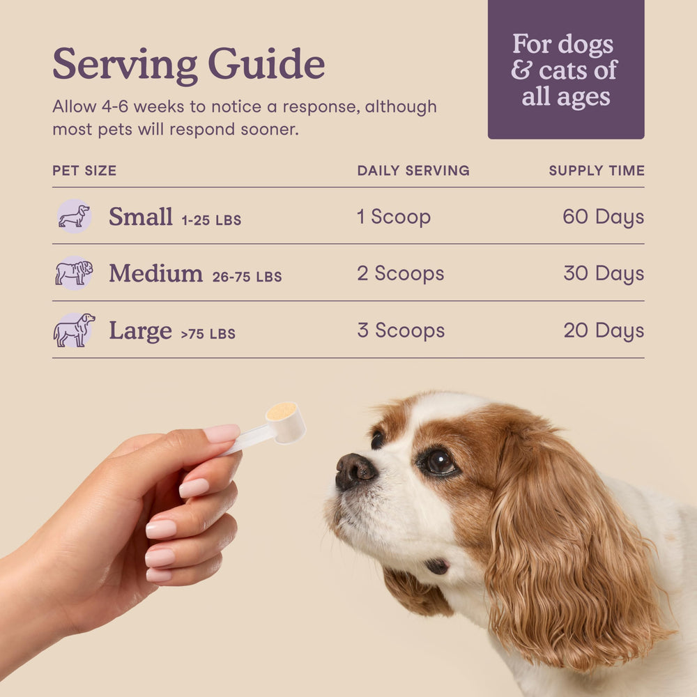 Fera Pets calming supplement cat nose closeup indicates gentle, natural ingredients.