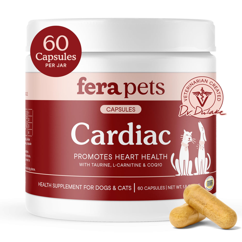 Fera Pets Cardiac Support bottle shows 60 heart-healthy capsules for daily care.
