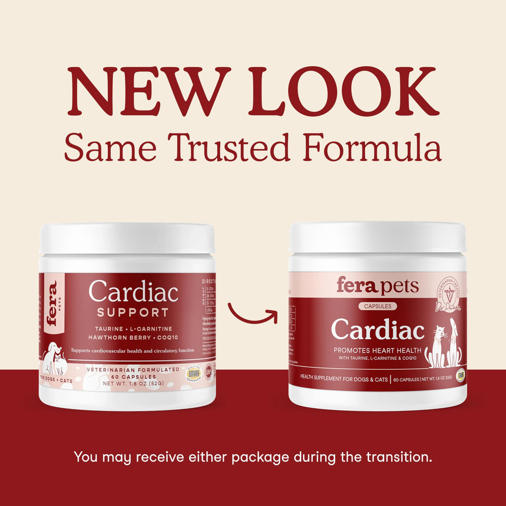 Close-up of Fera Pets Cardiac Support capsules highlighting taurine and CoQ10 blend.
