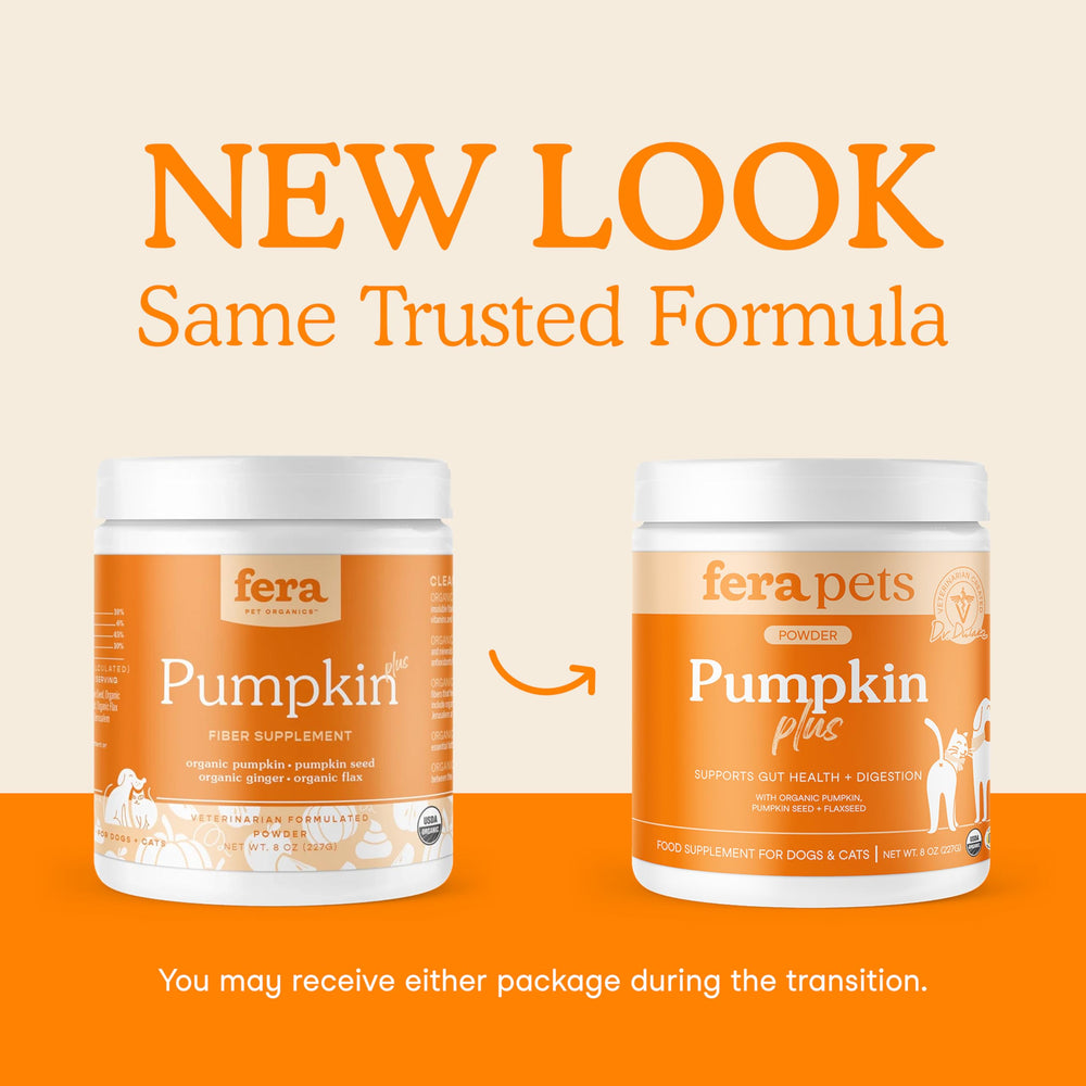 Fera Pets cat-dog pumpkin plus ingredients bowl showcases organic fiber blend for digestive balance.
