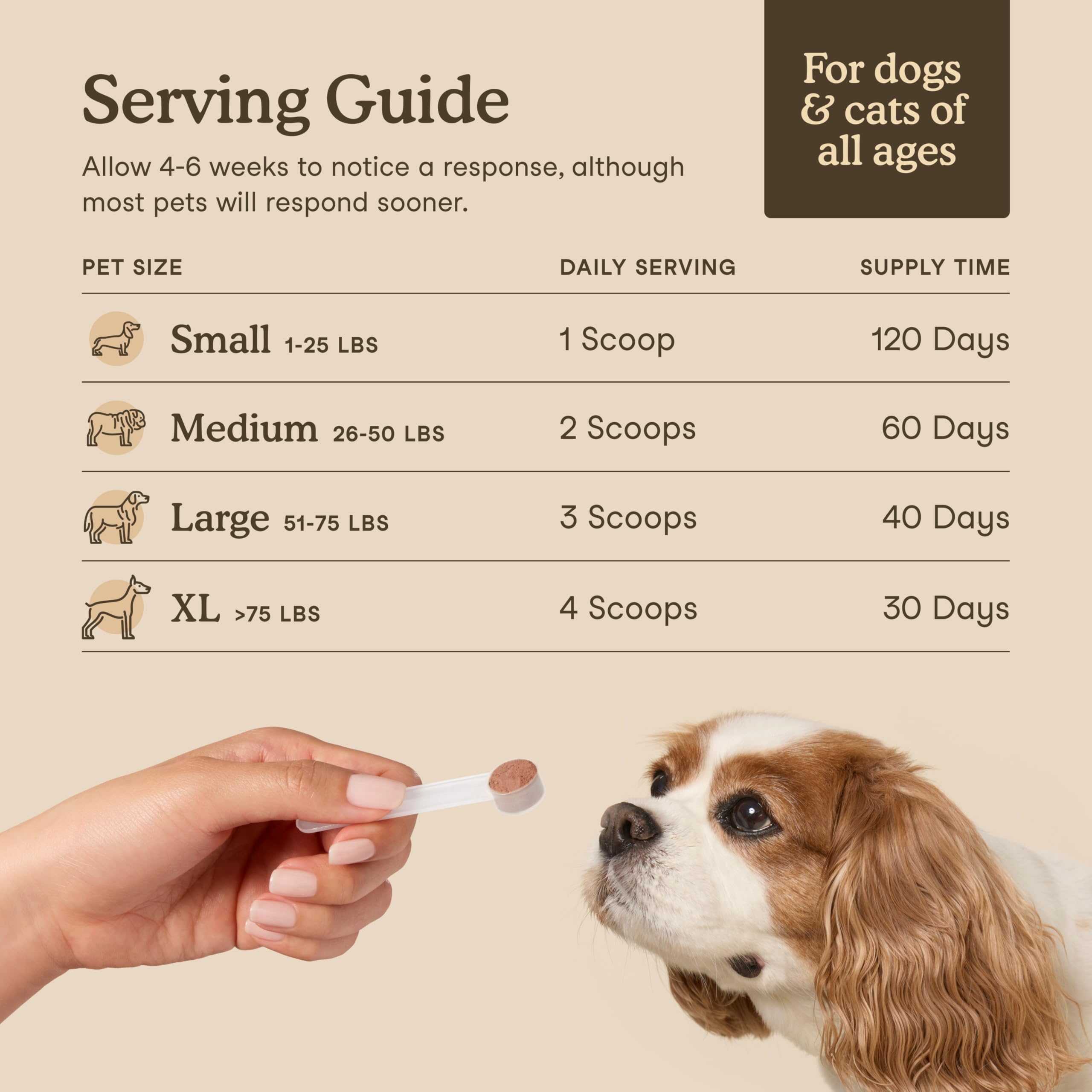 Fera Pets Organic mushroom blend image emphasizes liver and gut support