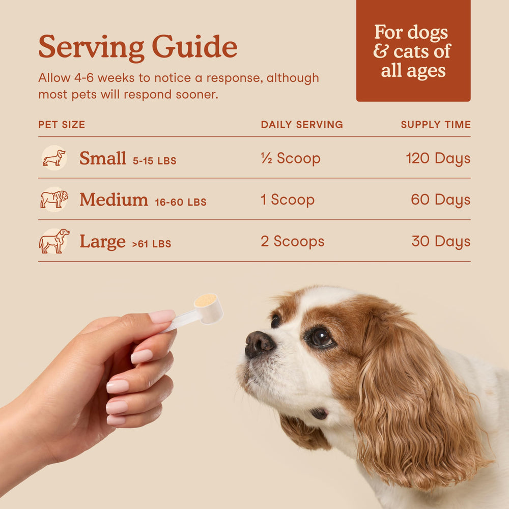 Fera Pets Probiotics close-up of organic prebiotics and fibers.