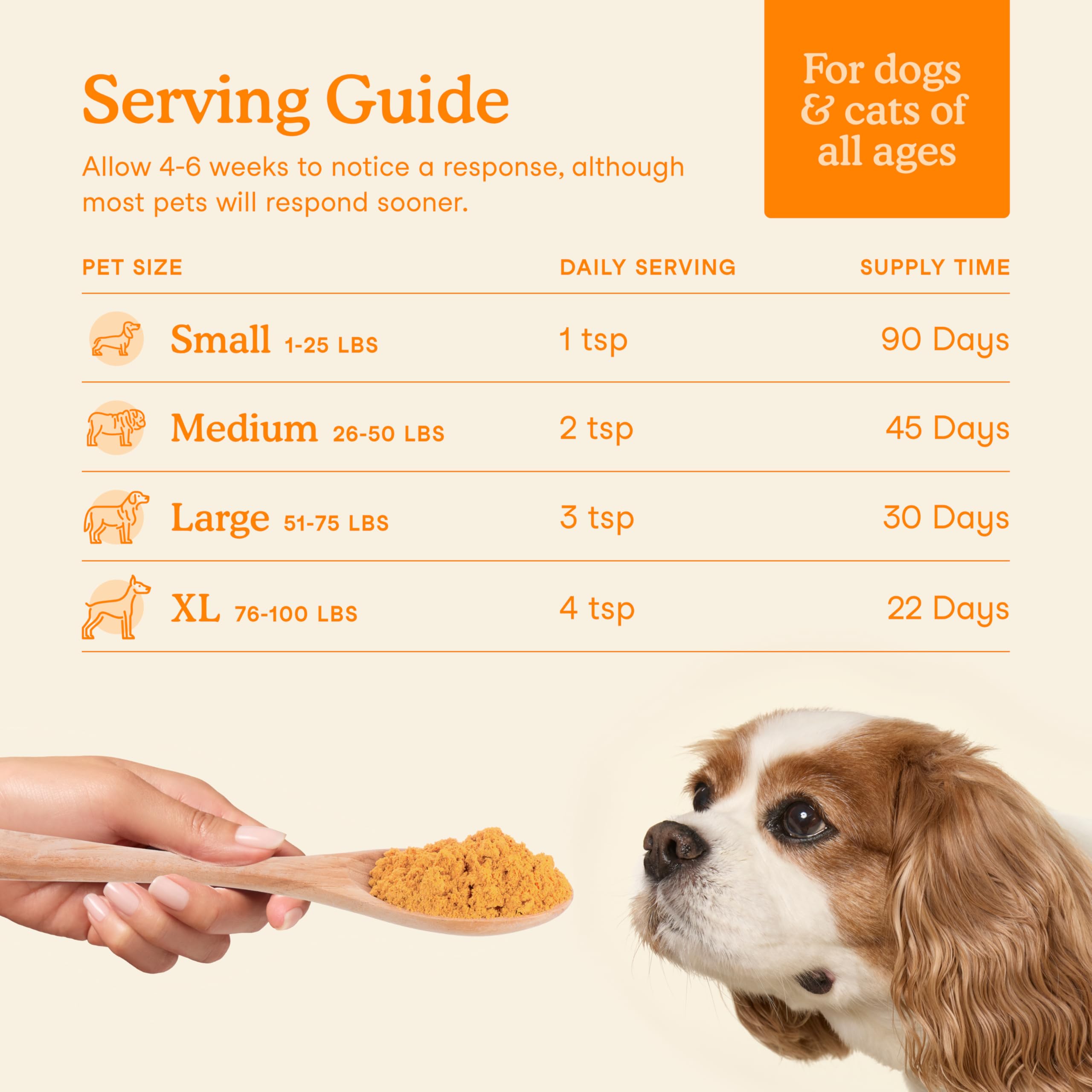 Fera Pets pumpkin plus vet-formulated pumpkin plus pack conveys expert-crafted pet wellness.