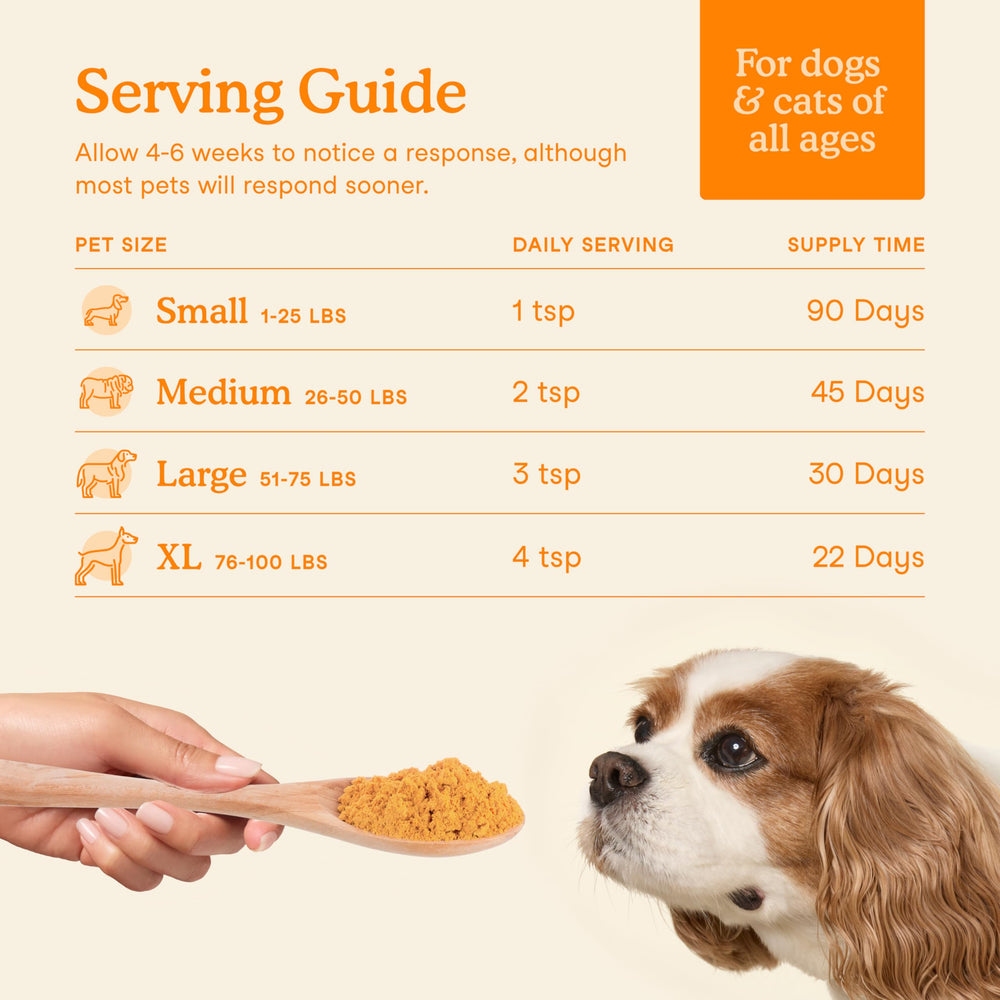 Fera Pets pumpkin plus vet-formulated pumpkin plus pack conveys expert-crafted pet wellness.
