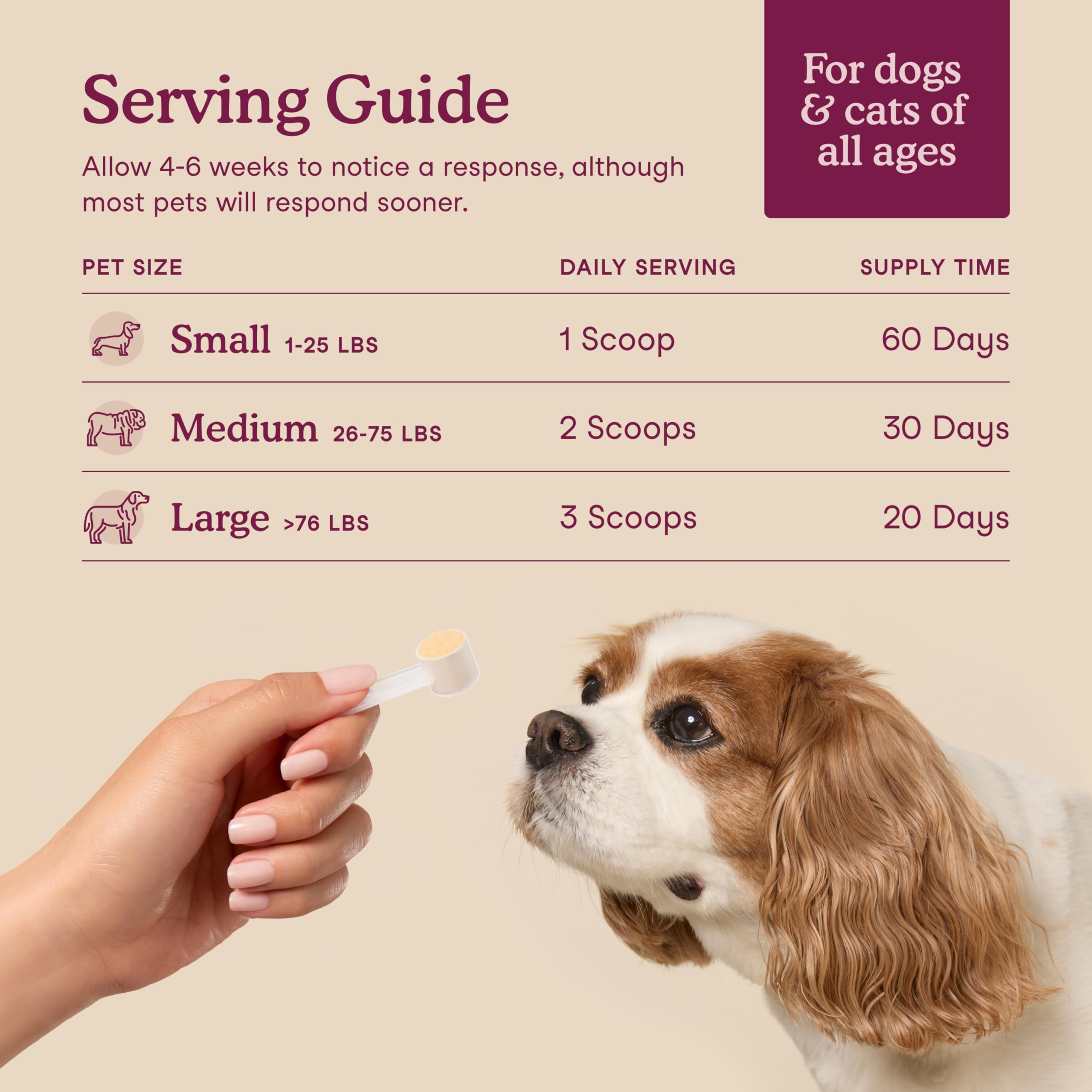 Fera Pets astragalus root integration in the formula