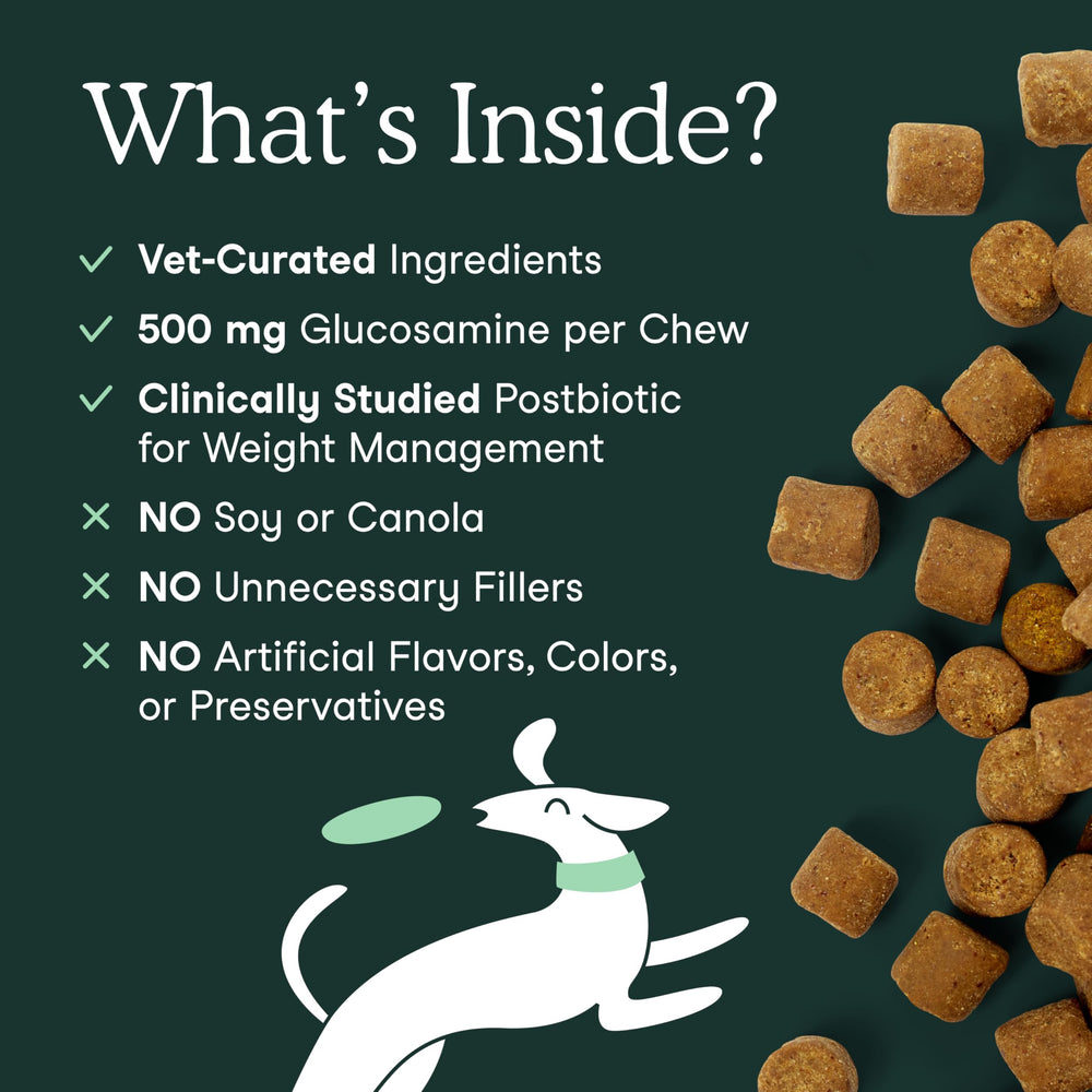 Fera Pets ingredients display highlights glucosamine and chondroitin for joint care