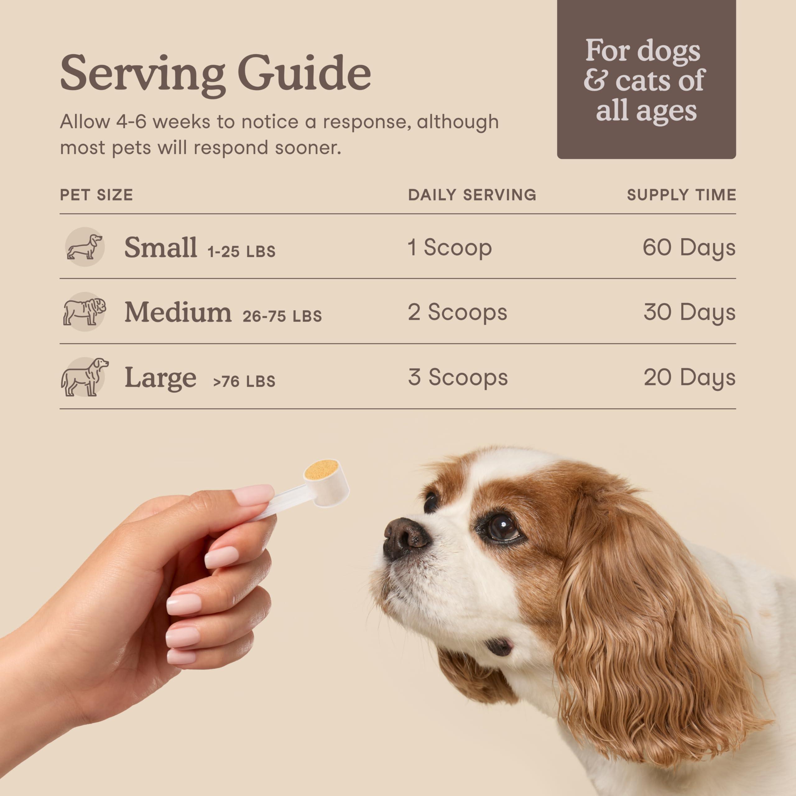 Fera Pets liver supplement milk thistle – key botanical ingredient