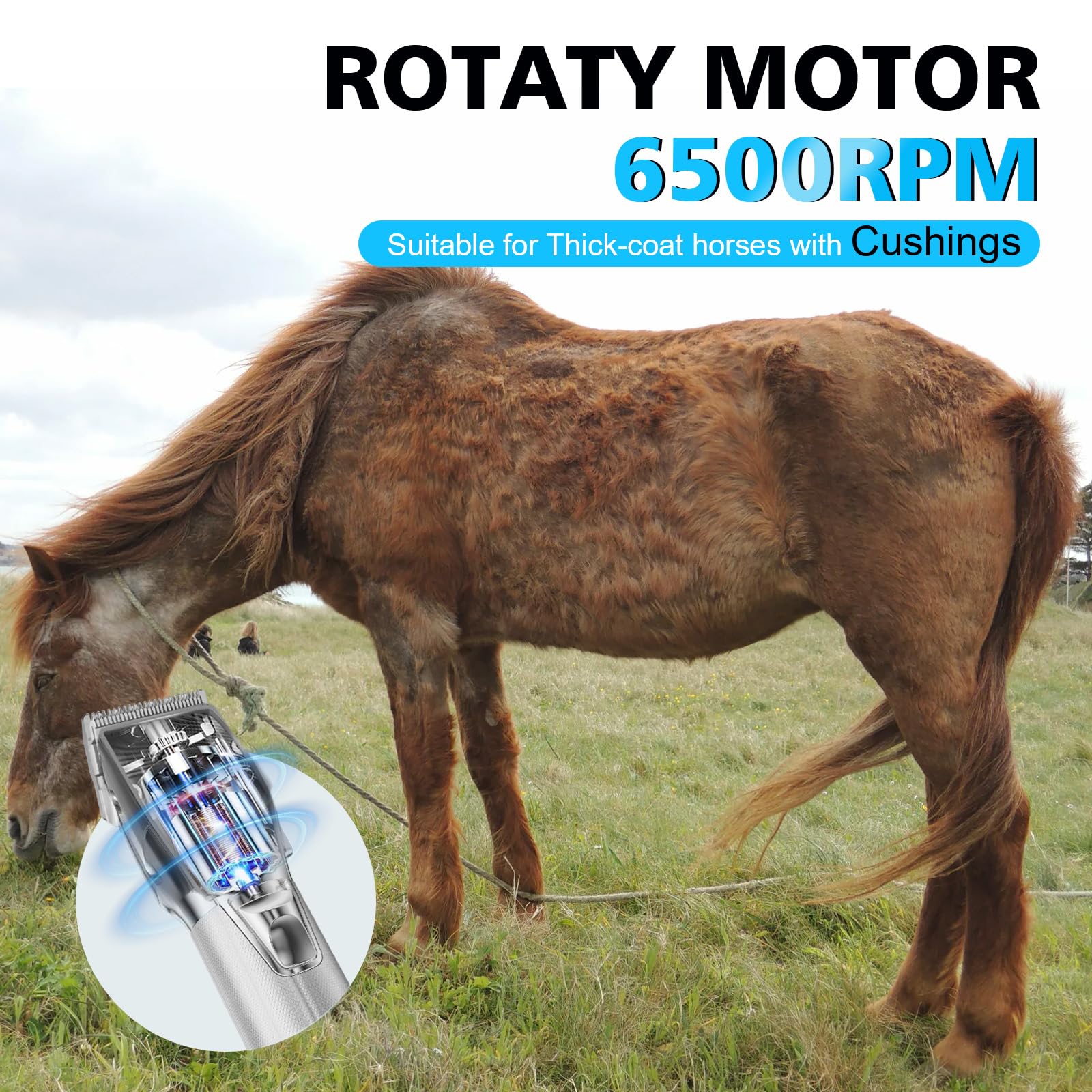 Fernlandia Horse Clippers LED display shows battery level and reminders