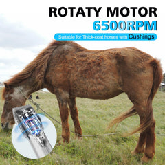 Fernlandia Horse Clippers LED display shows battery level and reminders